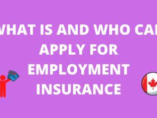 WHAT IS AND WHO CAN APPLY FOR EMPLOYMENT INSURANCE